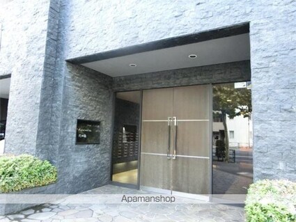 フェニックス代田橋[1K/21.66m2]のエントランス