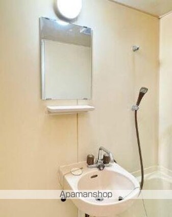 ハイム・トシ[2DK/52.47m2]の洗面所