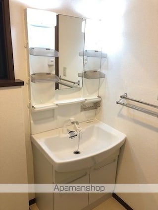 ヴィレッヂ山王[3LDK/69.56m2]の洗面所