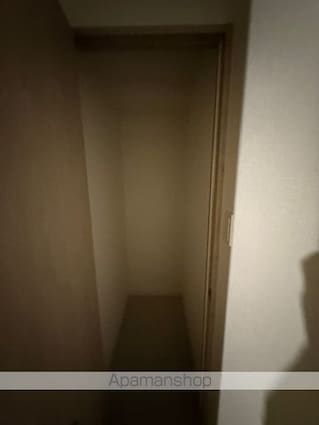 Ｂｌａｎｃｈｅ船橋本町[2LDK/64.54m2]の収納2