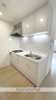 Ｐｌｕｍ　Ｈｏｕｓｅ　Ｂ（プラムハウスビー）[1K/29.81m2]のキッチン