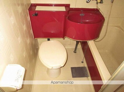 ロックバレー大野[1R/24.16m2]のトイレ