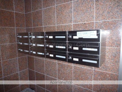 レジデンス・ジャパン３[2DK/45m2]の共用部5