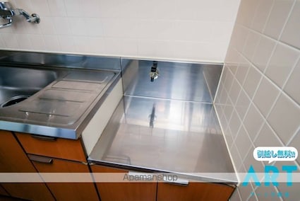 リオン・ドール[1R/22m2]の内装4