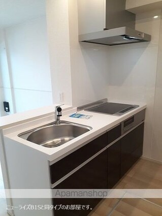 サンリットＭⅡ[2LDK/50.47m2]のキッチン