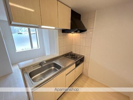 リヴァージュ竜王[1LDK/48.54m2]のキッチン