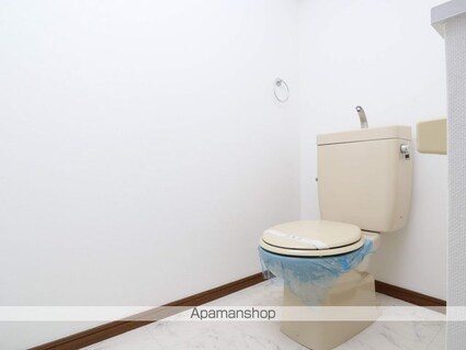 ドール丸の内[1K/21.12m2]のトイレ