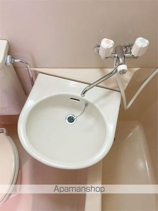 ライオンズマンション南青山シドニービル[1R/20.78m2]の洗面所