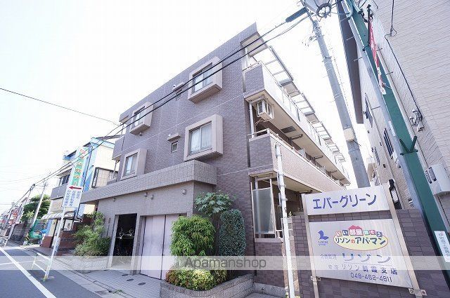 エバーグリーン