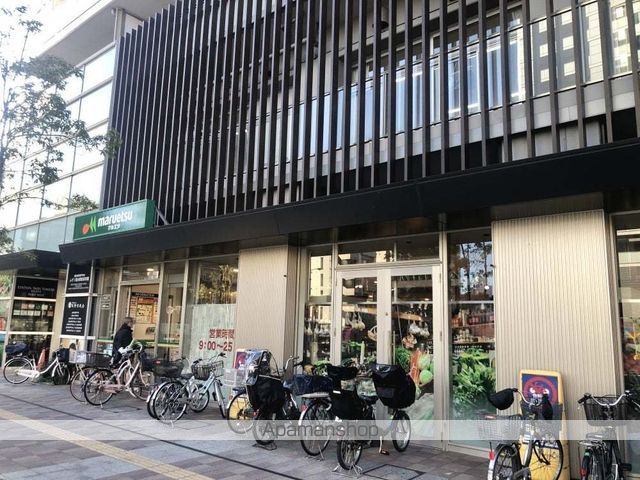 ステージグランデ蒲田アジールコートの周辺写真