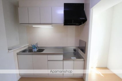 ナリッシュＬｅｅ　Ⅱ[1LDK/49.17m2]のキッチン