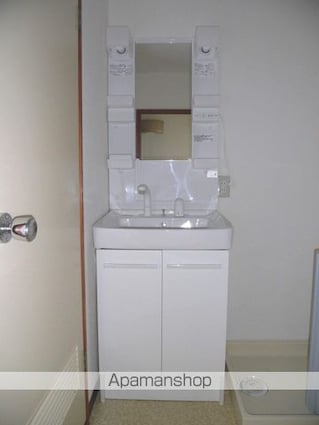 ハイツウイング金子[2DK/48.76m2]の洗面所