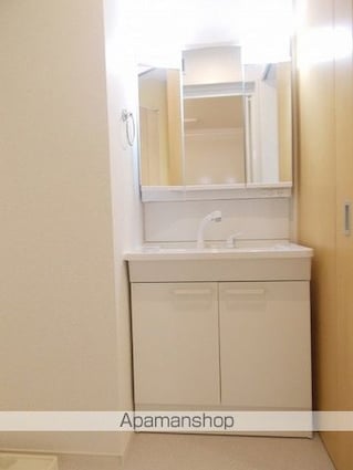 宮崎県宮崎市田野町甲[1LDK/50.02m2]の洗面所