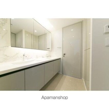 パークコート青山　ザ　タワー[2SLDK/105.44m2]の洗面所