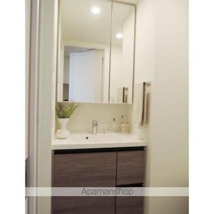 パークアクシス菊川ステーションゲート[1R/25.35m2]の洗面所