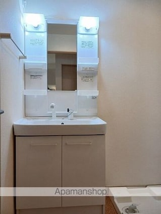 フィオーレＴＳＳ[2DK/45.77m2]の洗面所