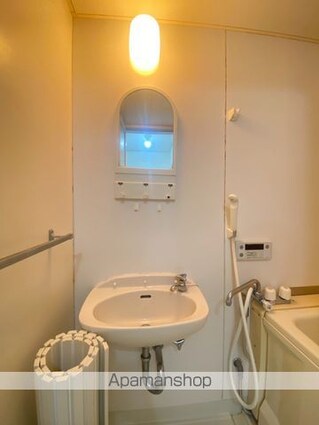 東京都八王子市川口町[2DK/38.88m2]の洗面所