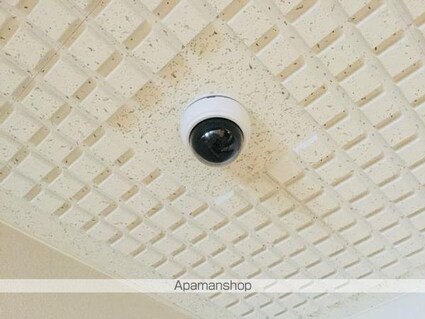 エコロジー白山レジデンス[1K/21m2]の共用部2