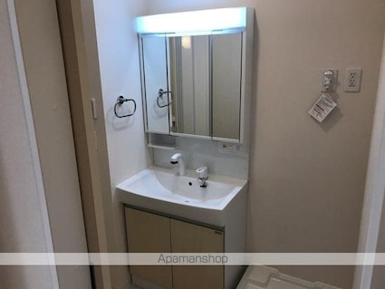 プルンバーゴ　[1LDK/42.82m2]の洗面所