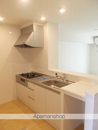 宮崎県宮崎市田野町甲[1LDK/50.02m2]のキッチン