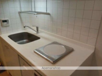 フェニックス西新宿５丁目弐番館[1R/19.45m2]のキッチン