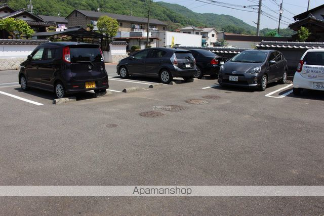 プリムローズのその他写真