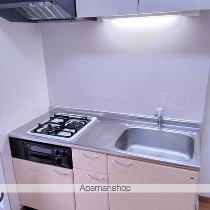 リヴュール・ベルテ[1K/29.81m2]の内装3