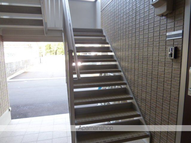 カレンデュラのその他写真