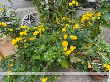香川県高松市宮脇町１丁目[1R/21m2]の共用部4
