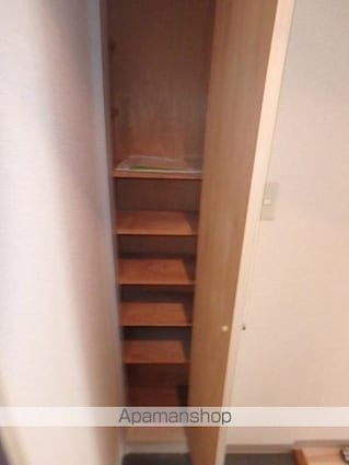 ダイホープラザ桜台[1R/21.08m2]の収納3