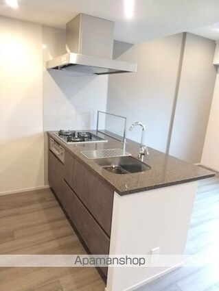 ザ・パークハビオ高円寺レジデンス[1LDK/41.5m2]のキッチン