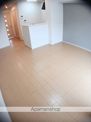 レ・セーナ　Ｂ[1R/32.94m2]のその他内装