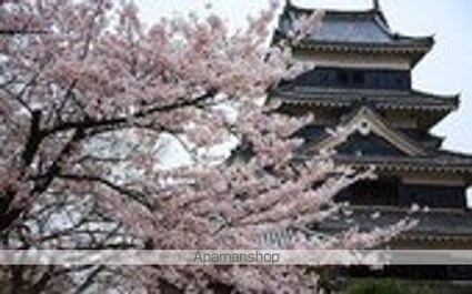 長野県松本市城西１丁目[3K/42.9m2]の周辺5