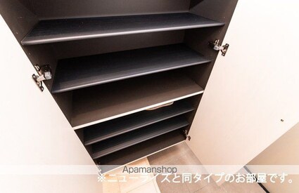 ＡＬＯＡＬＯ[1LDK/50.14m2]の収納1