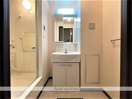 レオネクストエクシールⅢ[2LDK/52.17m2]の洗面所2