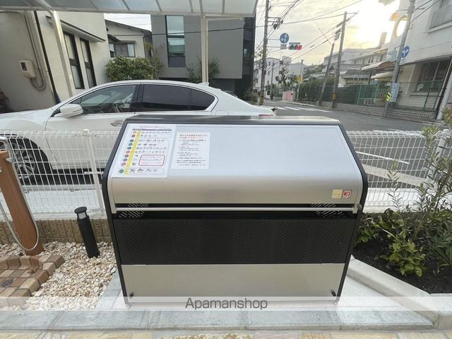 メインクーンのその他写真