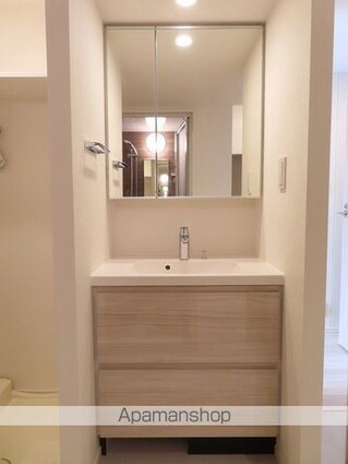 パークアクシス池袋パークフロント[1LDK/30.65m2]の洗面所