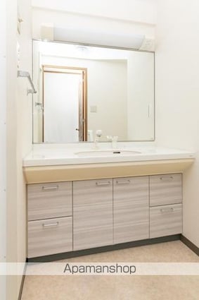 ＲＩＯ・ＰＬＡＴＩＮＯ[2LDK/60m2]の洗面所