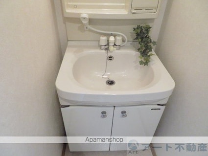 ブラウンハイム土居田[1K/24.8m2]の内装5