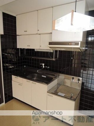 ロイヤルアネックス福音寺[2LDK/53.46m2]のキッチン