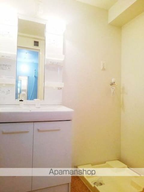 東京都立川市西砂町５丁目[2LDK/57.21m2]の洗面所