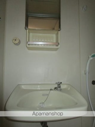 アメニティゾーン川平[2DK/41.88m2]の洗面所