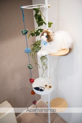 クレヴィアリグゼ西馬込の内装写真