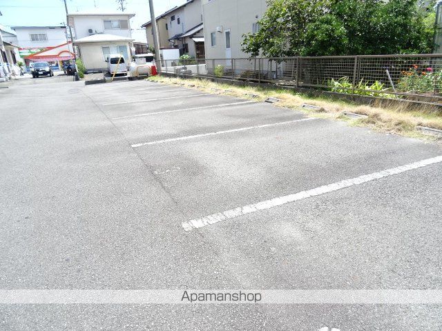 セントポーリアのその他写真