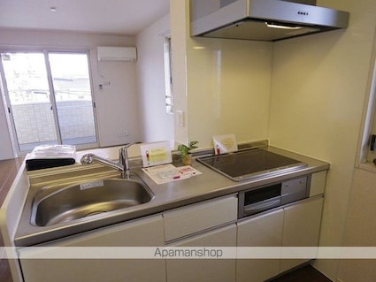 ＳＵＮーＨＥＩＭ（サンーハイム）[1LDK/49.92m2]のキッチン