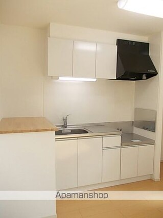 ラピスⅡ[1LDK/44.39m2]のキッチン