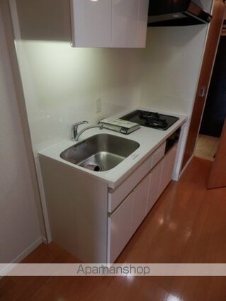 パークアクシス文京ステージ[1K/29.29m2]のキッチン