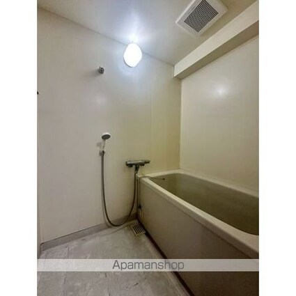 アメニティー大善[1LDK/47.33m2]のバス