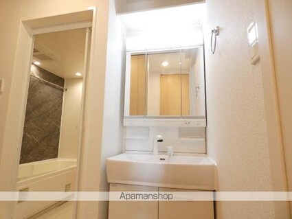 Ｎレジデンス　ネオⅣ[2LDK/54.8m2]の洗面所