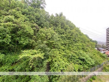 ＣＡＬＶＥＲＴ西宝町[1R/18.69m2]の内装
